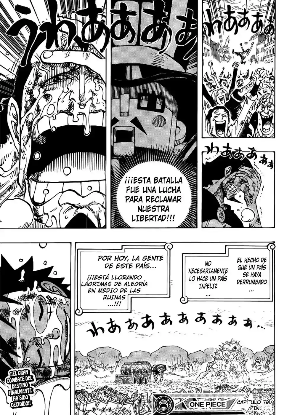 One Piece capítulo 791 página 16