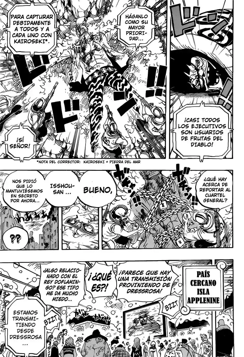 One Piece capítulo 792 página 10