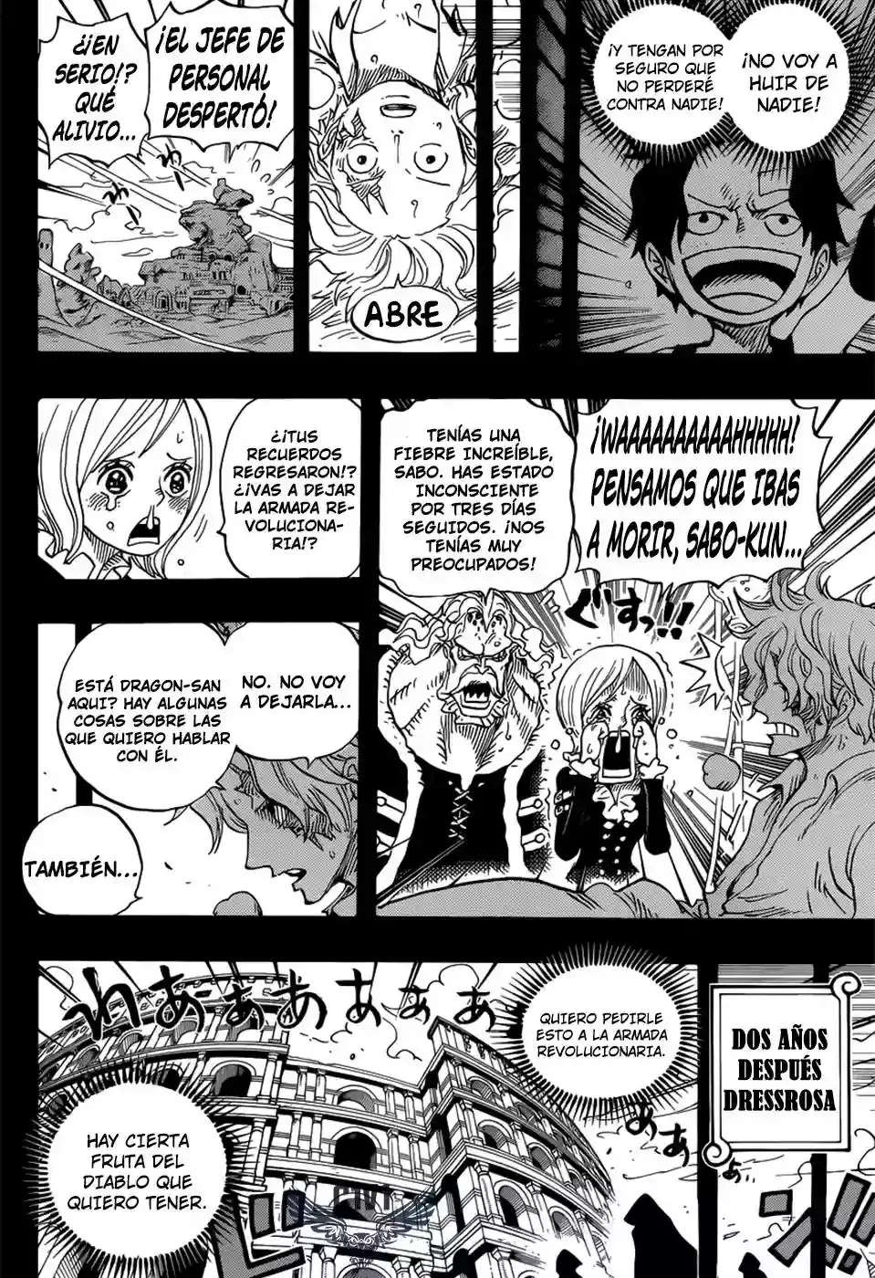 One Piece capítulo 794 página 11