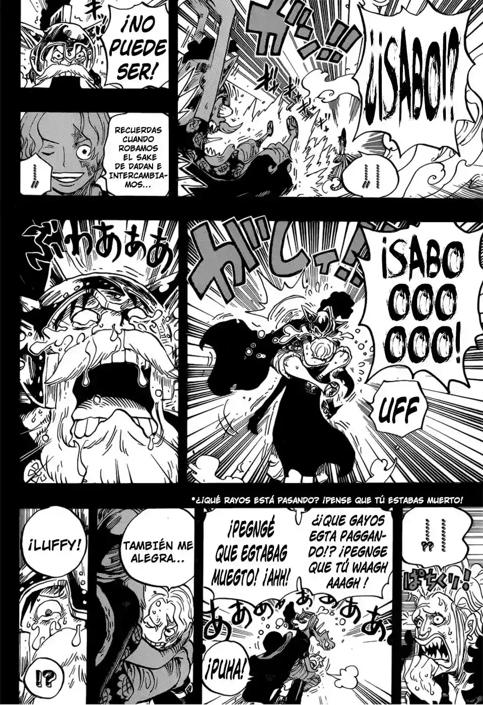 One Piece capítulo 794 página 13