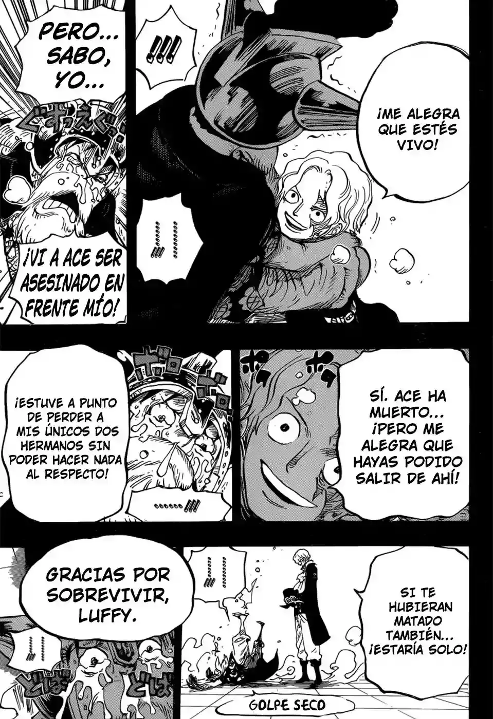 One Piece capítulo 794 página 14