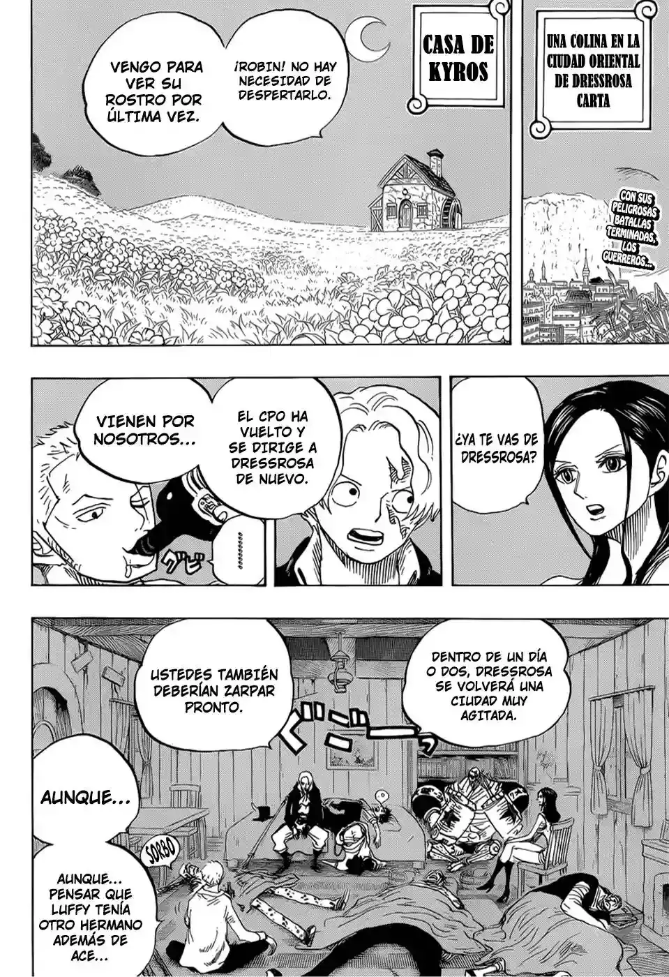 One Piece capítulo 794 página 3