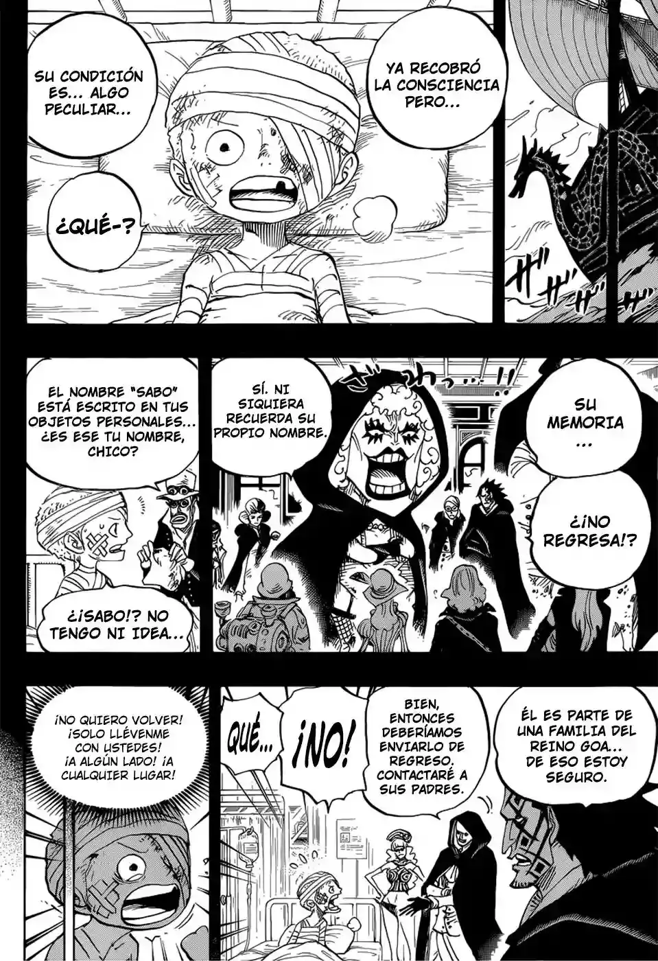 One Piece capítulo 794 página 7