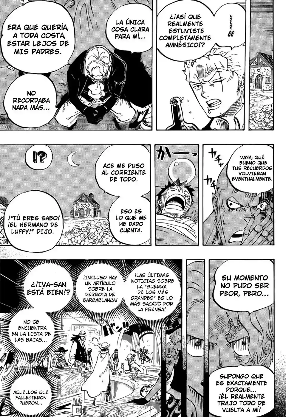 One Piece capítulo 794 página 8