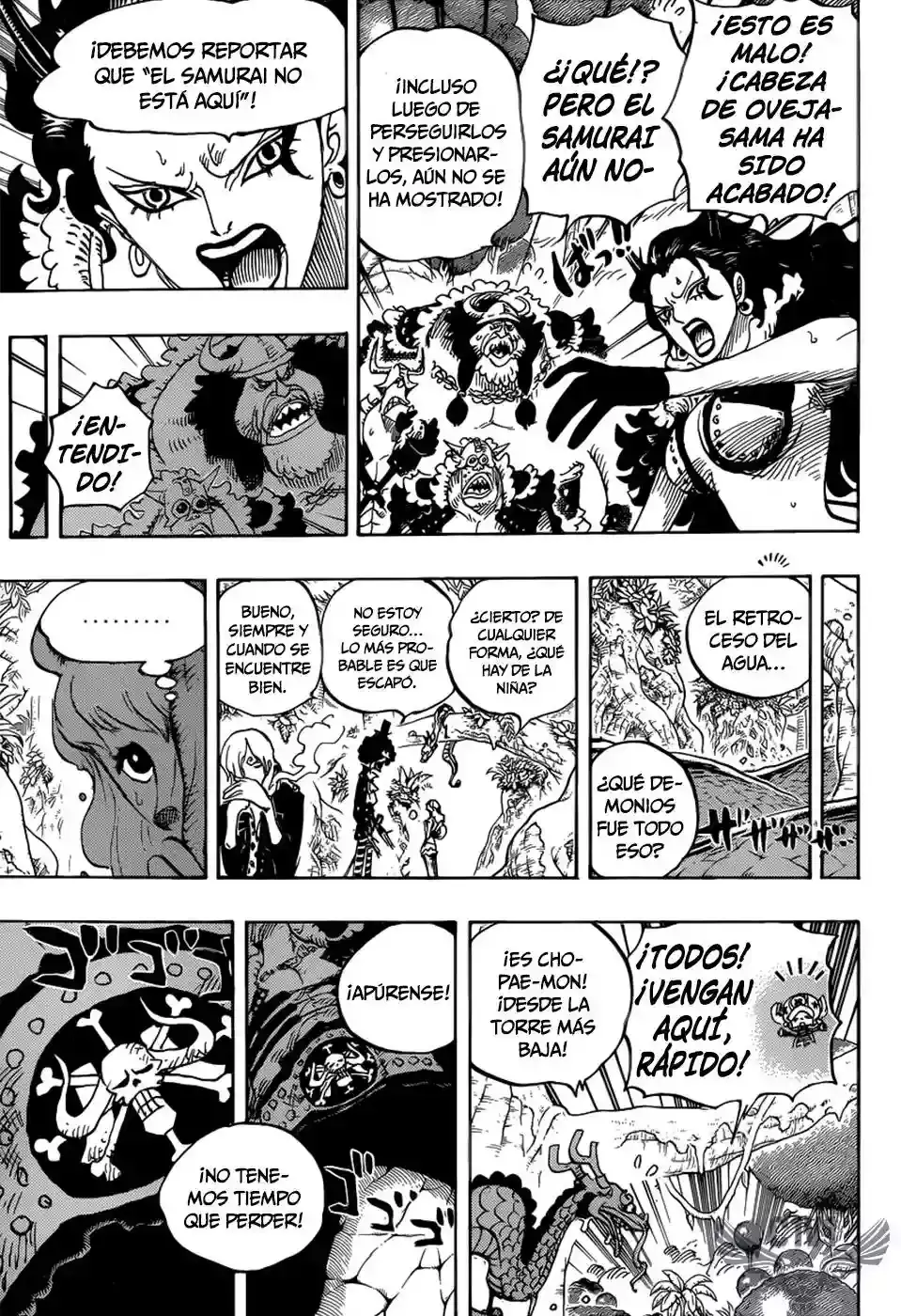 One Piece capítulo 795 página 10