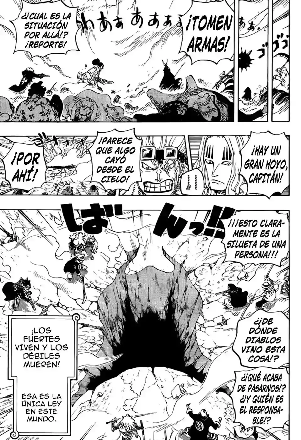 One Piece capítulo 795 página 12
