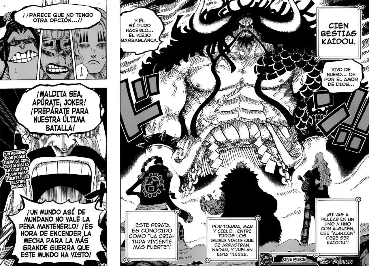 One Piece capítulo 795 página 17