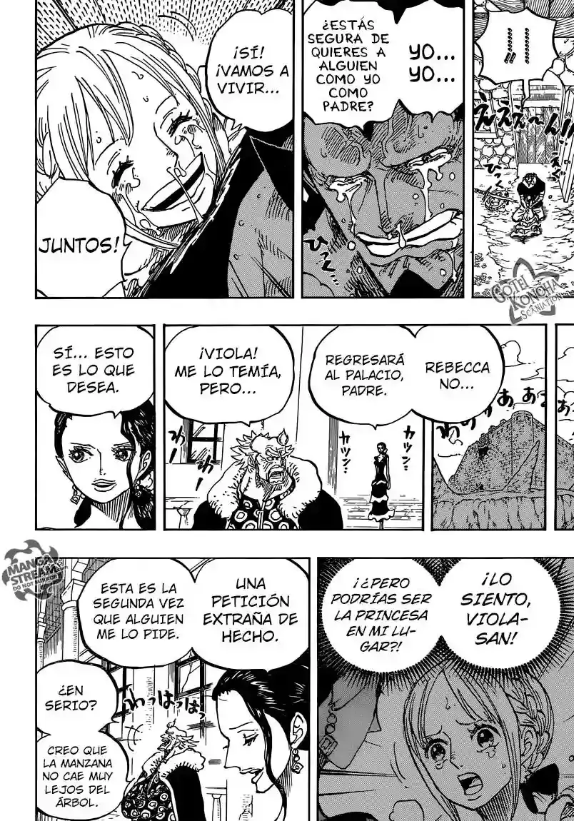 One Piece capítulo 797 página 17