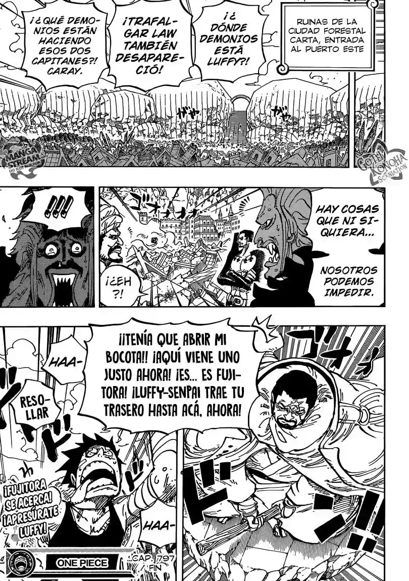 One Piece capítulo 797 página 18