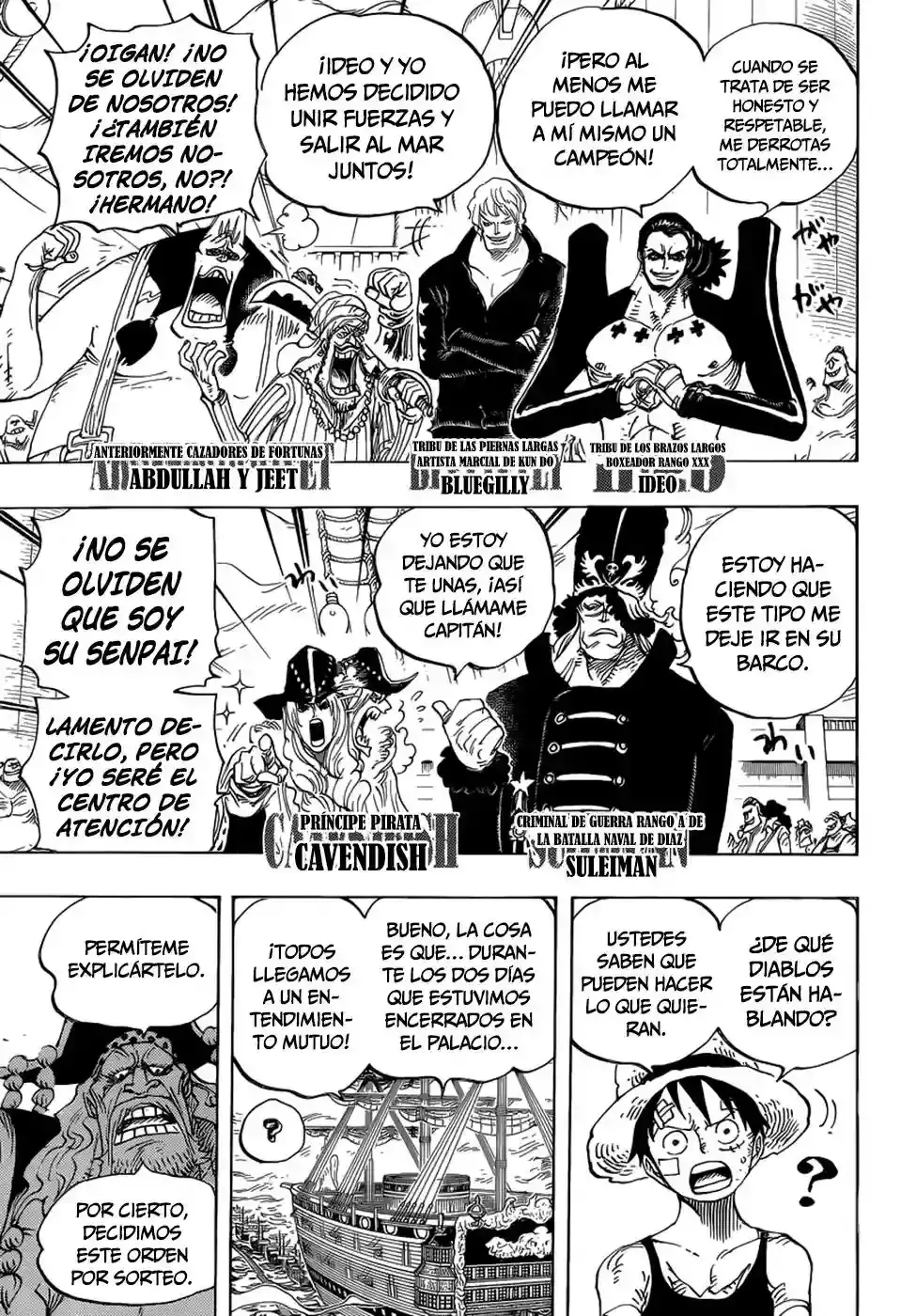 One Piece capítulo 799 página 13