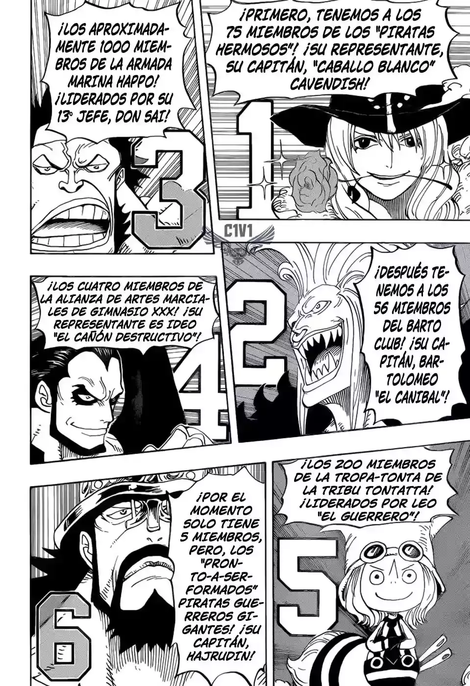 One Piece capítulo 799 página 14