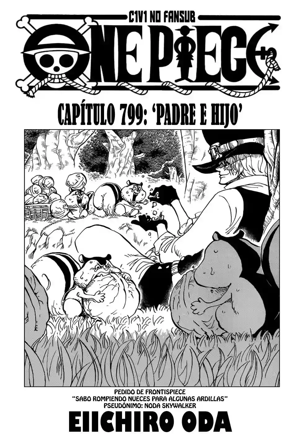 One Piece capítulo 799 página 2