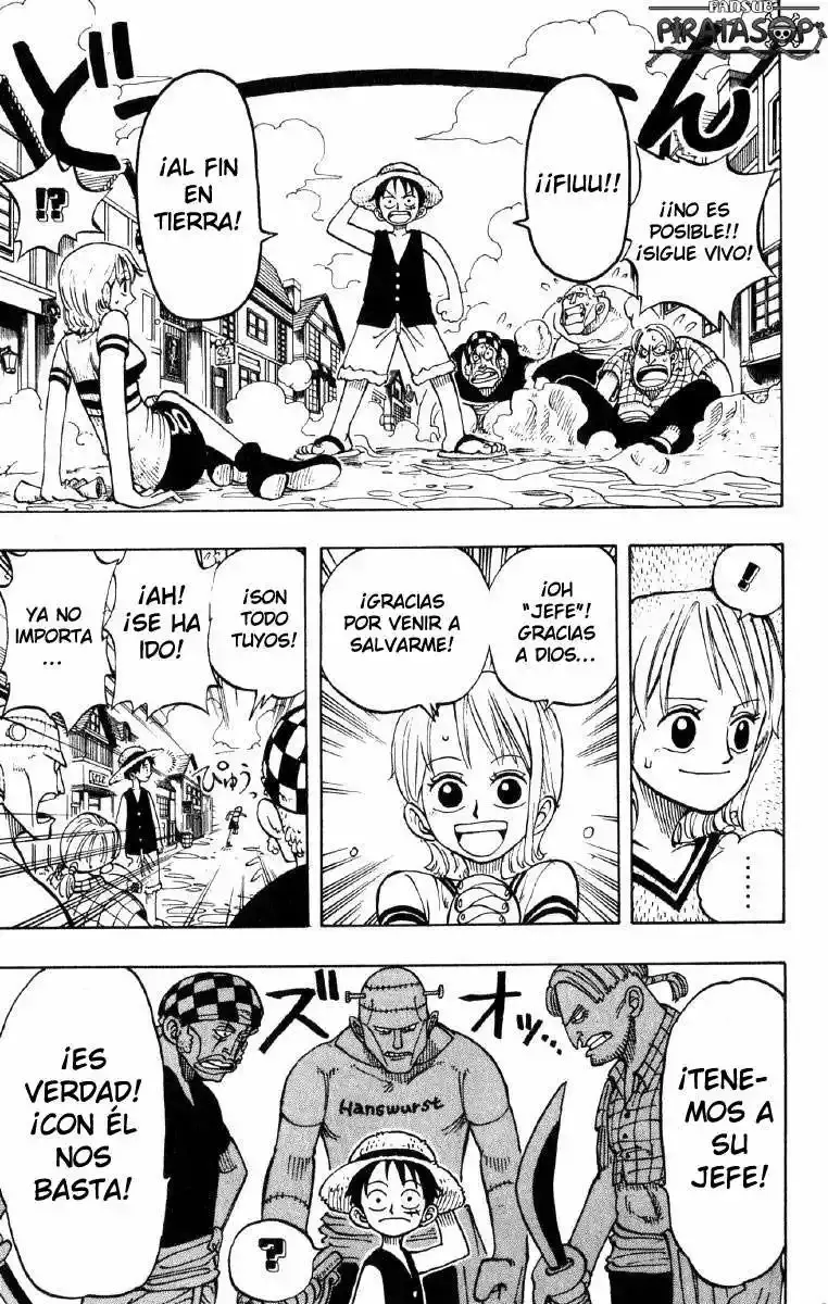One Piece capítulo 8 página 17