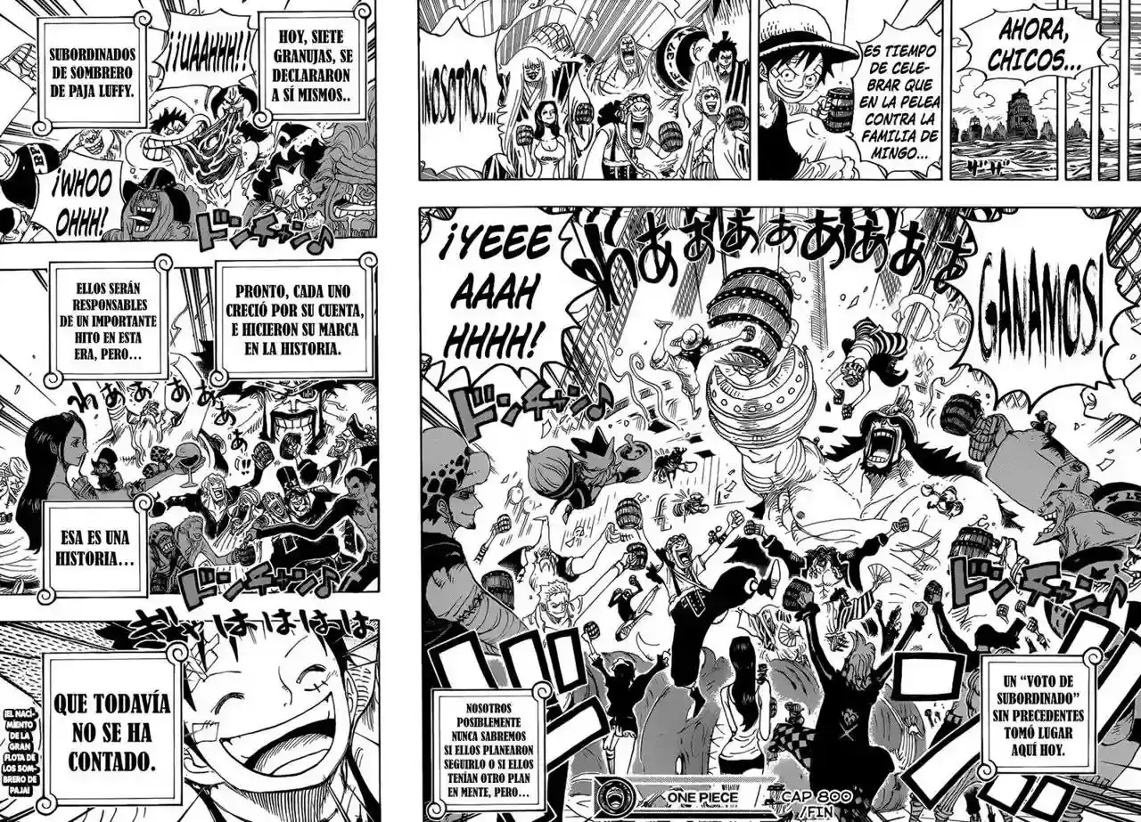One Piece capítulo 800 página 14