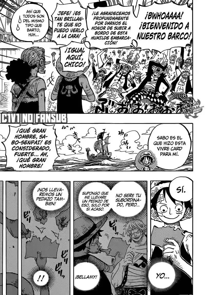 One Piece capítulo 801 página 14