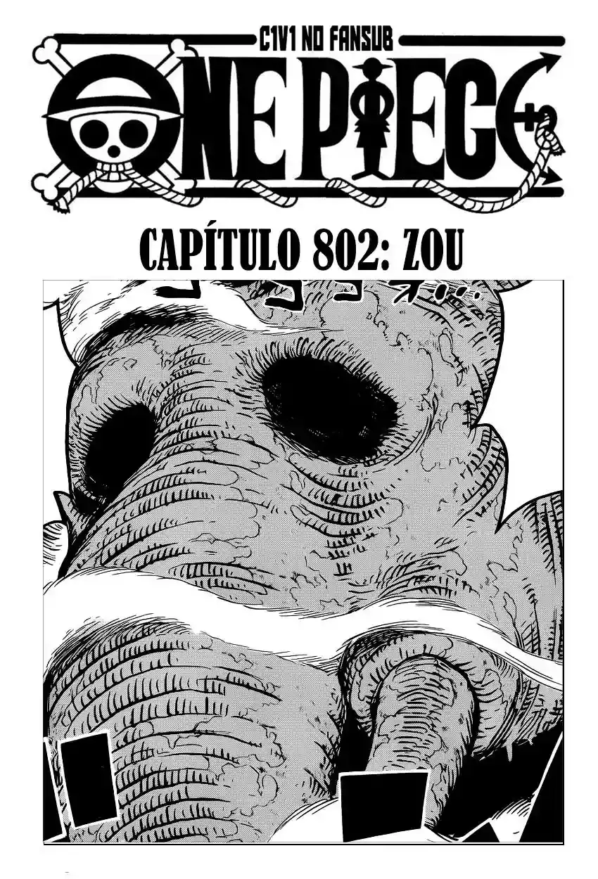 One Piece capítulo 802 página 3