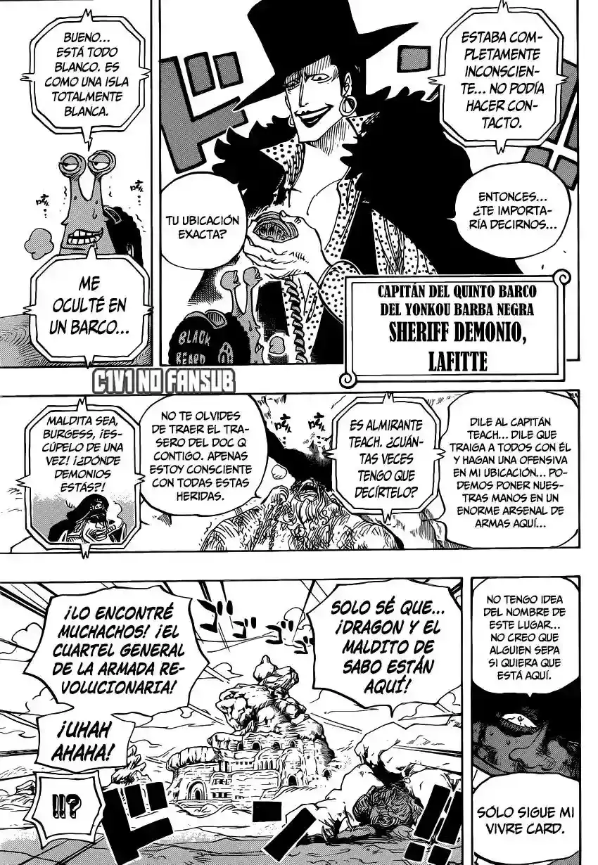 One Piece capítulo 803 página 10