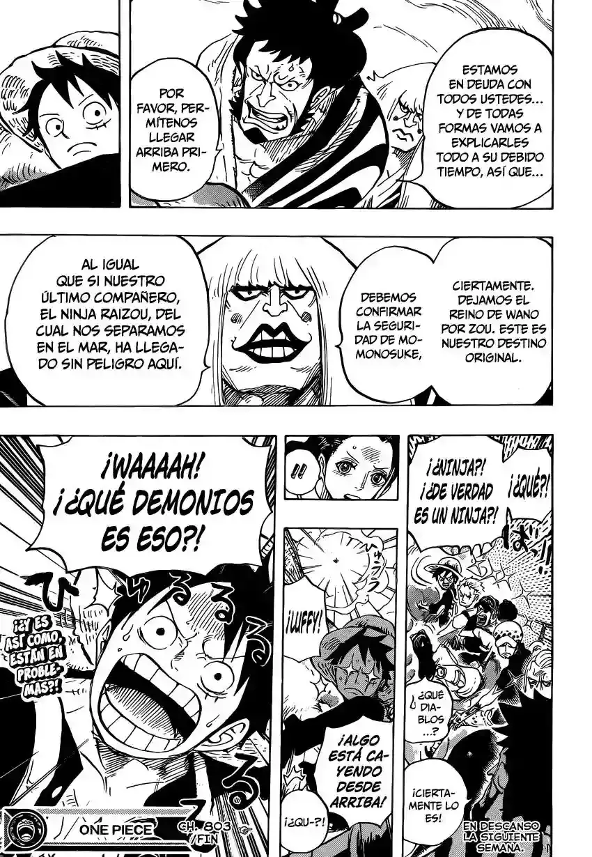 One Piece capítulo 803 página 14