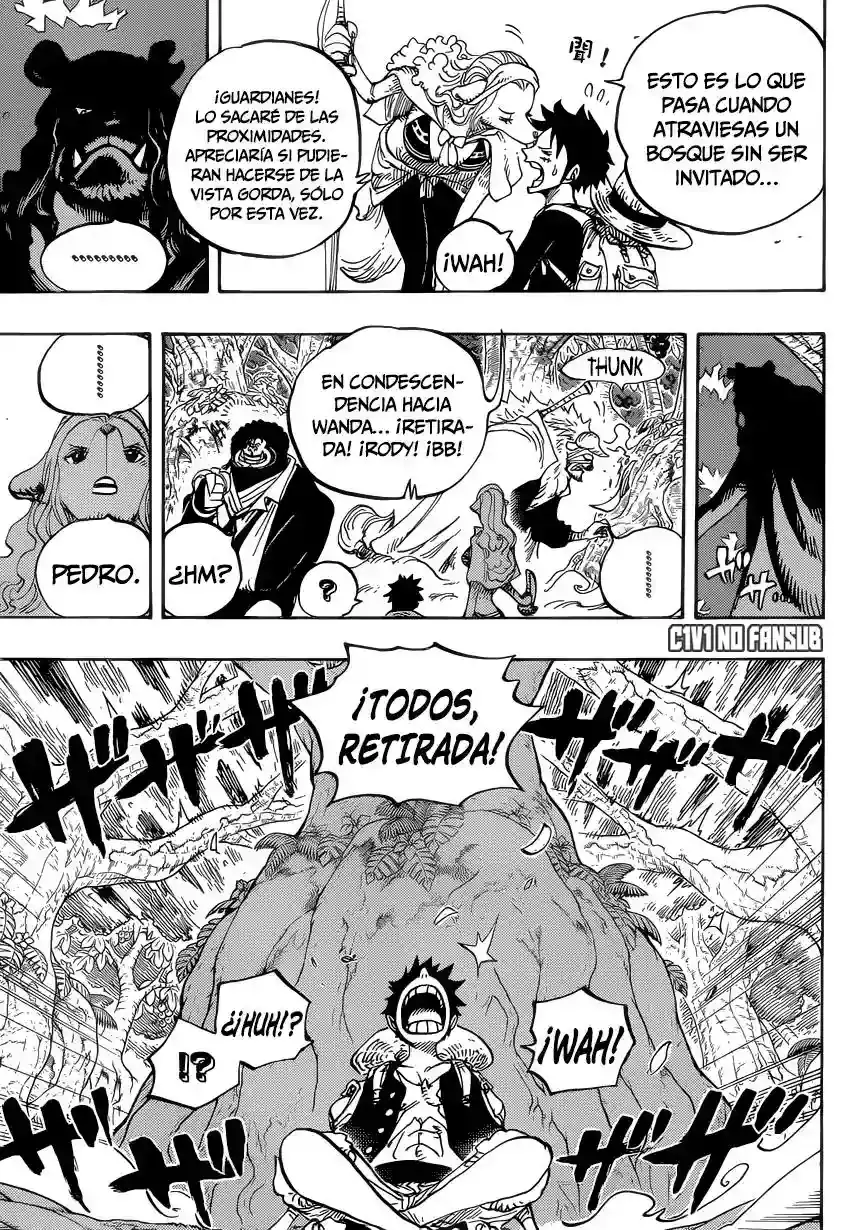 One Piece capítulo 805 página 13