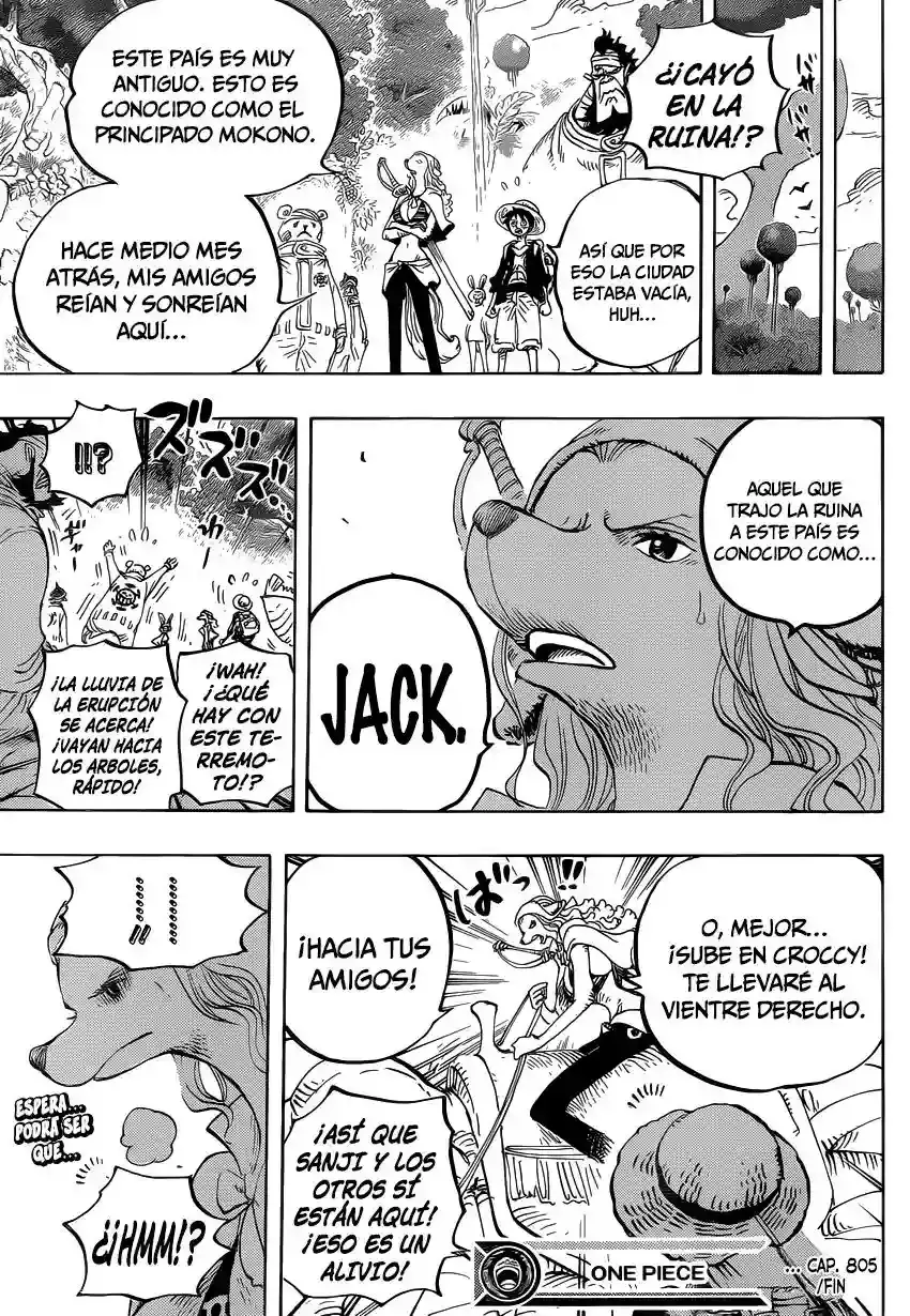 One Piece capítulo 805 página 17