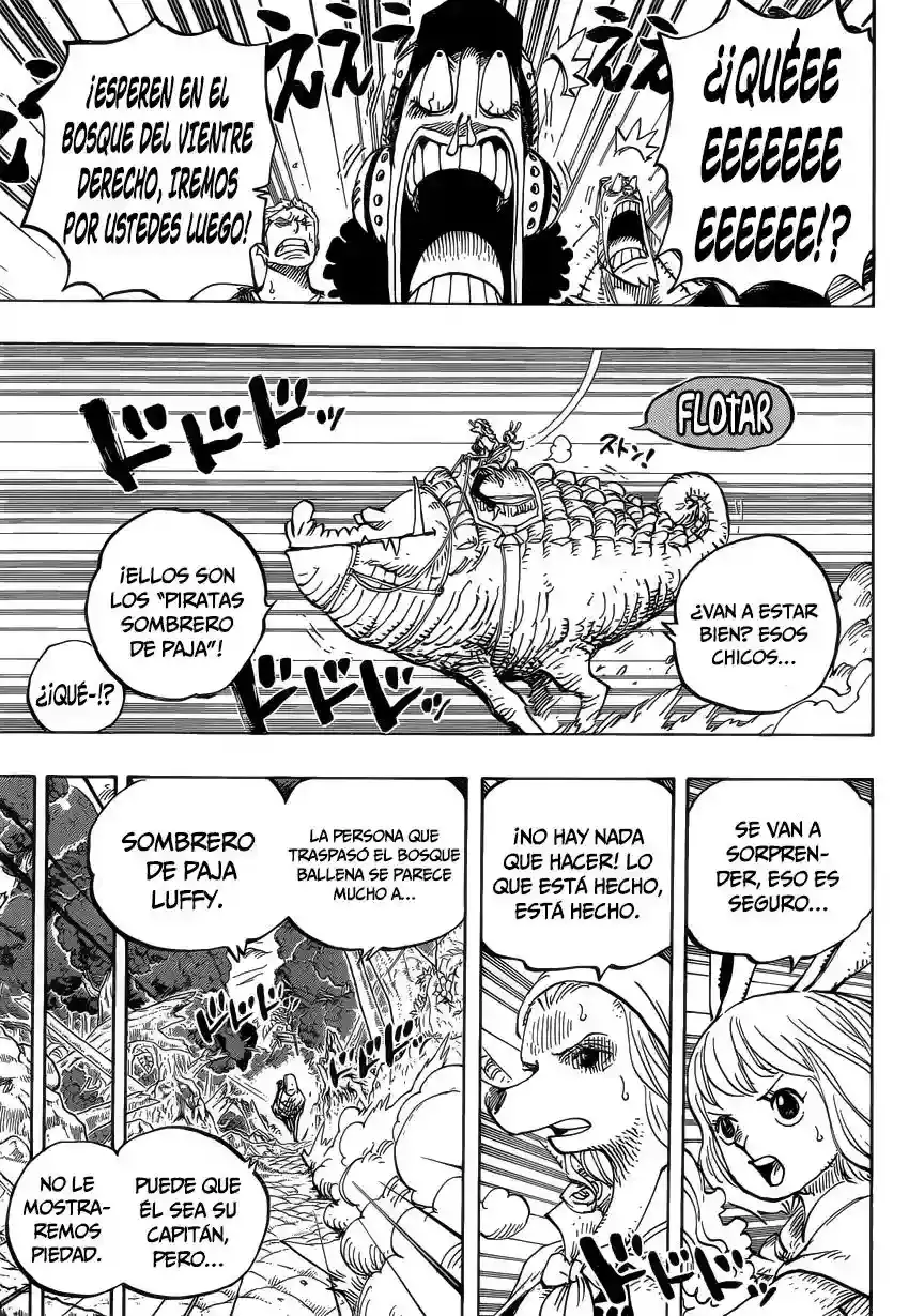 One Piece capítulo 805 página 6