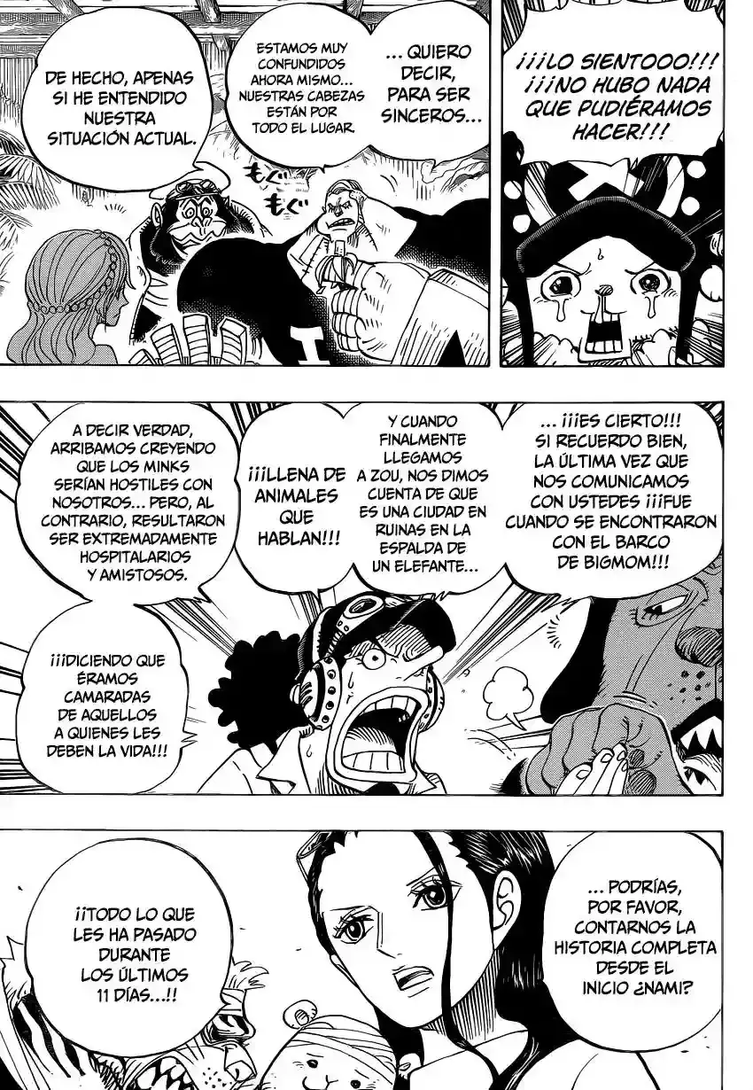 One Piece capítulo 807 página 7