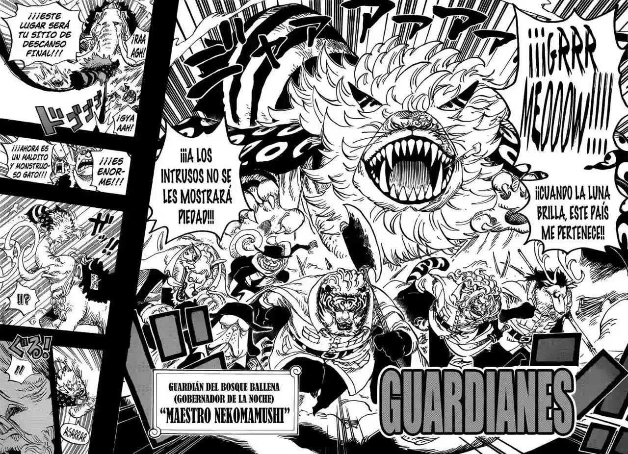 One Piece capítulo 809 página 16