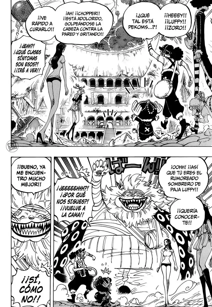 One Piece capítulo 815 página 11