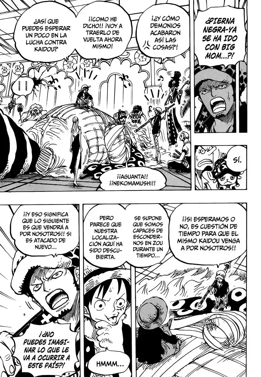 One Piece capítulo 815 página 14