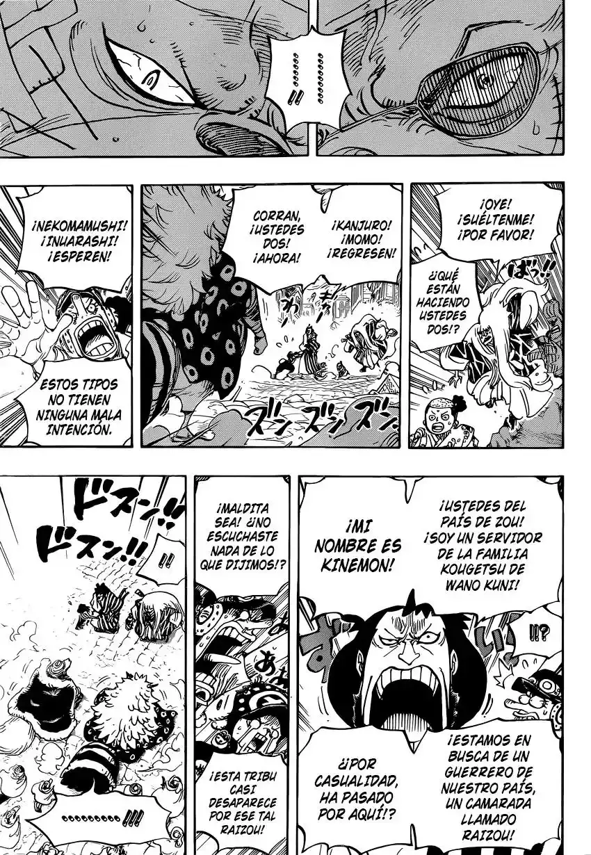 One Piece capítulo 816 página 14