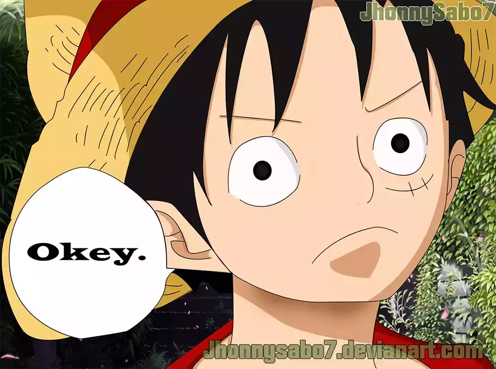One Piece capítulo 816 página 19