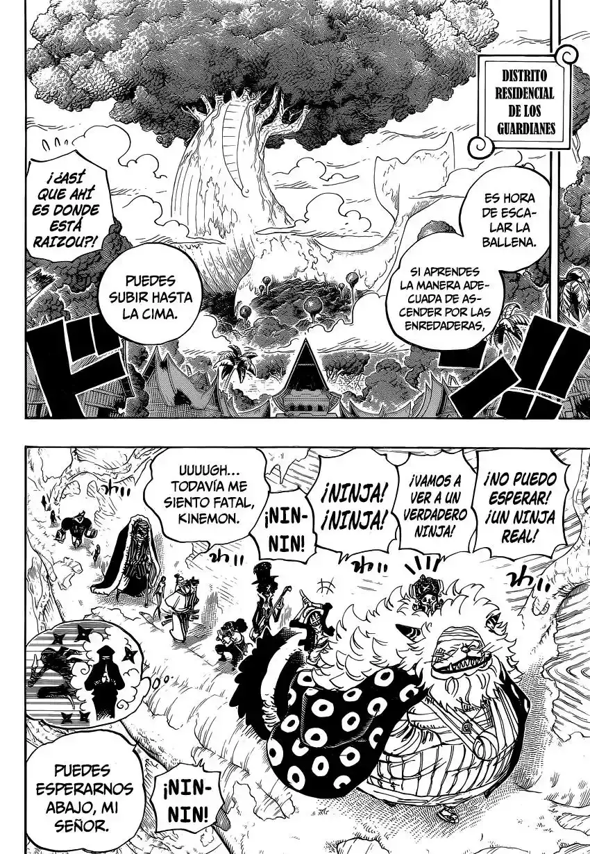 One Piece capítulo 817 página 13