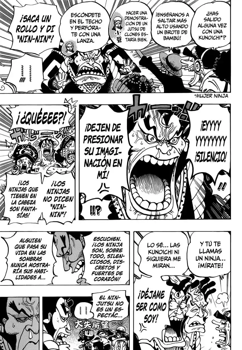 One Piece capítulo 817 página 18