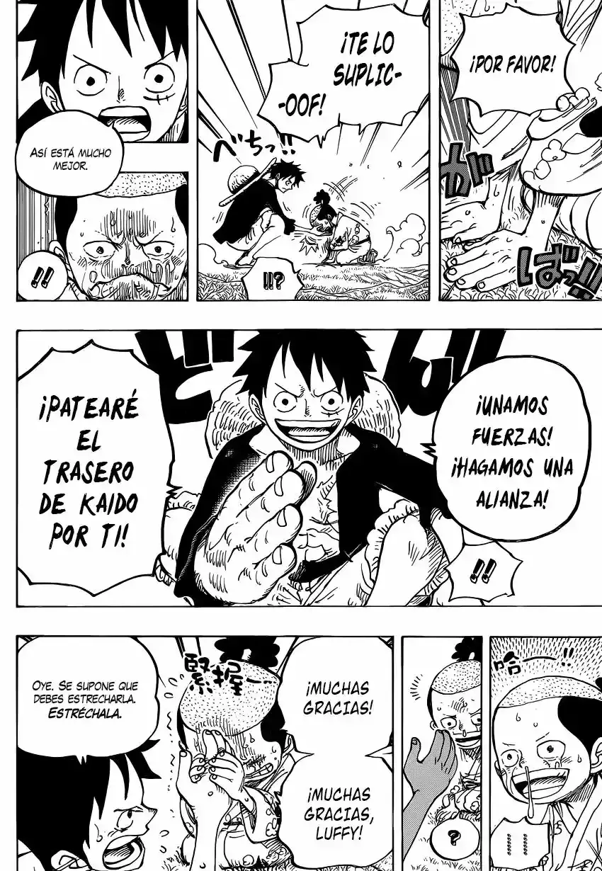One Piece capítulo 819 página 13
