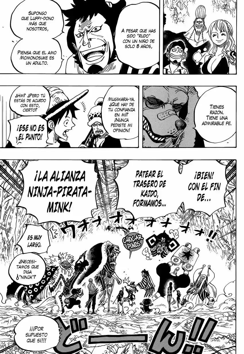 One Piece capítulo 819 página 14