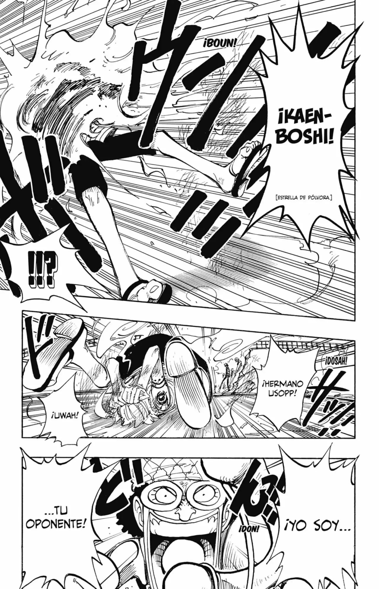 One Piece capítulo 83 página 13