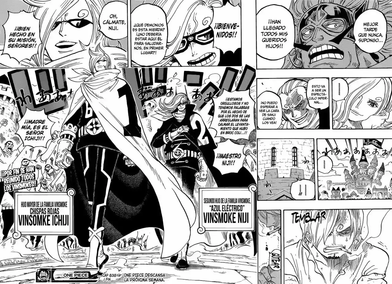 One Piece capítulo 838 página 15