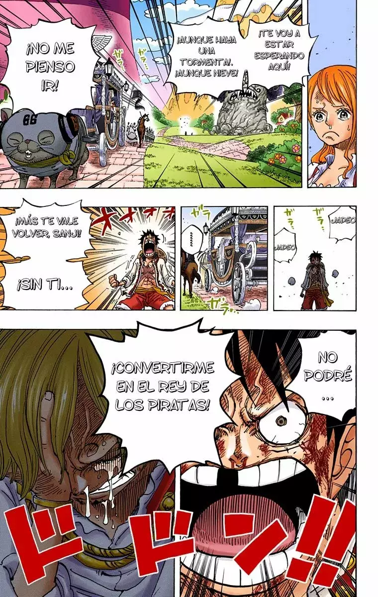 One Piece capítulo 844.5 página 17