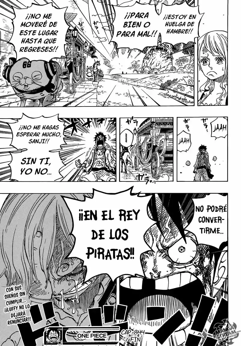 One Piece capítulo 844 página 17