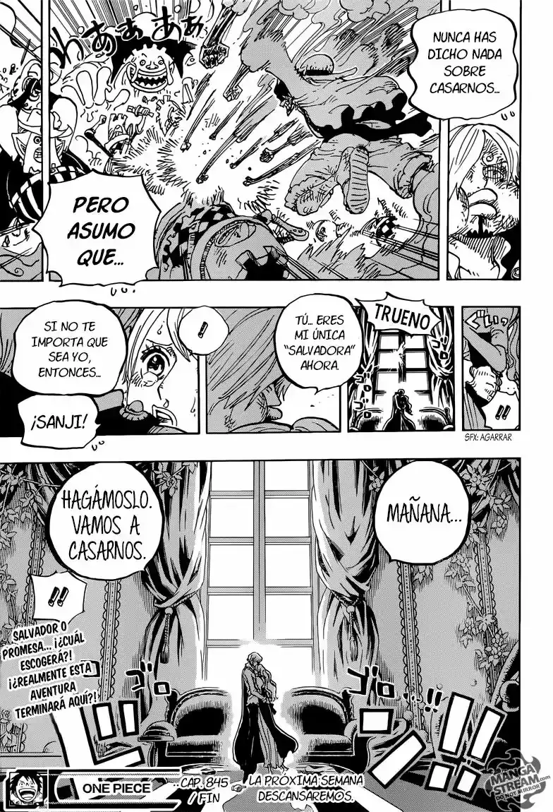 One Piece capítulo 845 página 17