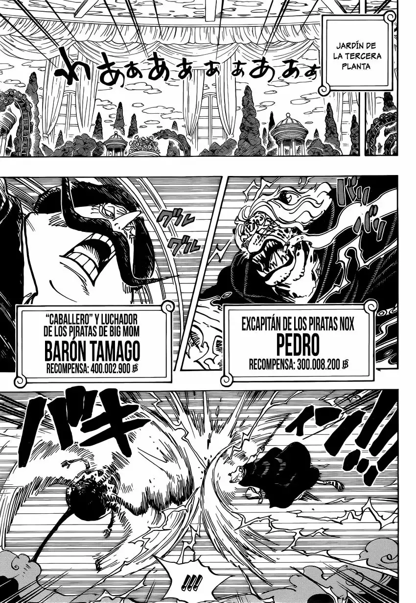 One Piece capítulo 850 página 10