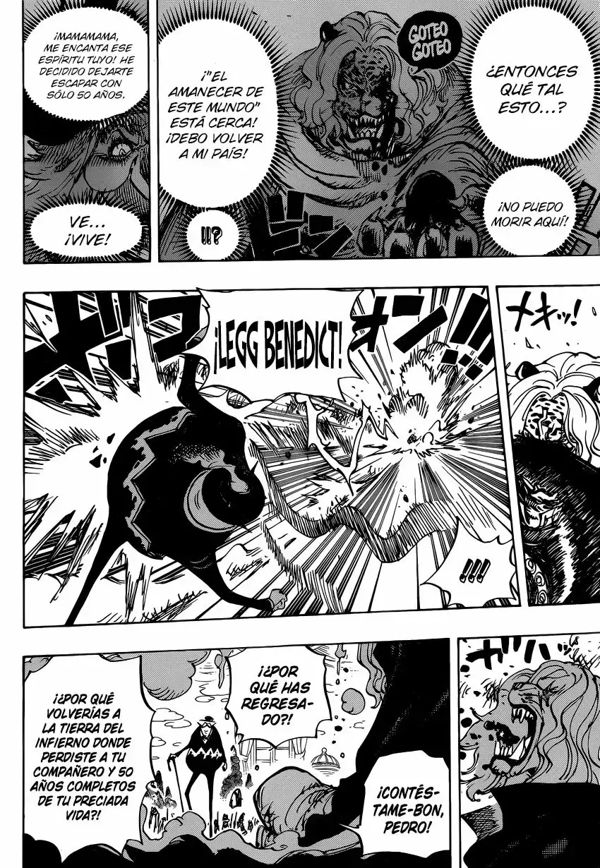One Piece capítulo 850 página 13