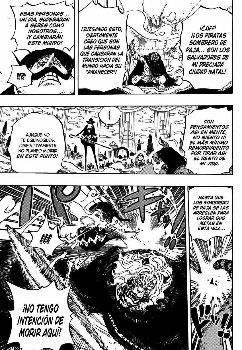 One Piece capítulo 850 página 14