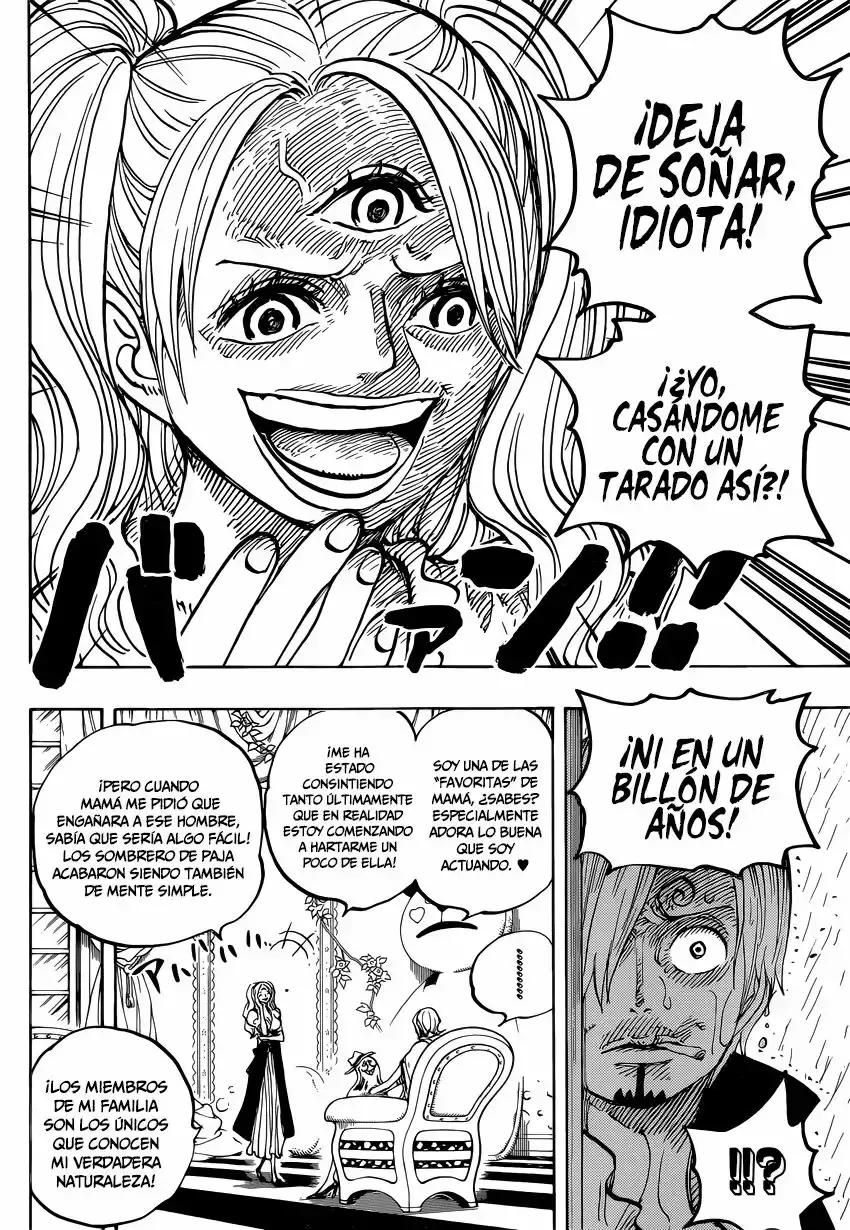 One Piece capítulo 850 página 17