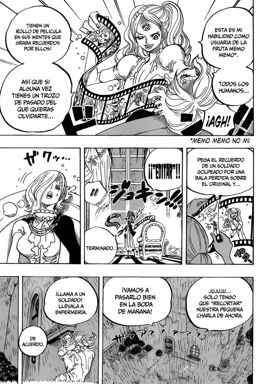 One Piece capítulo 851 página 14