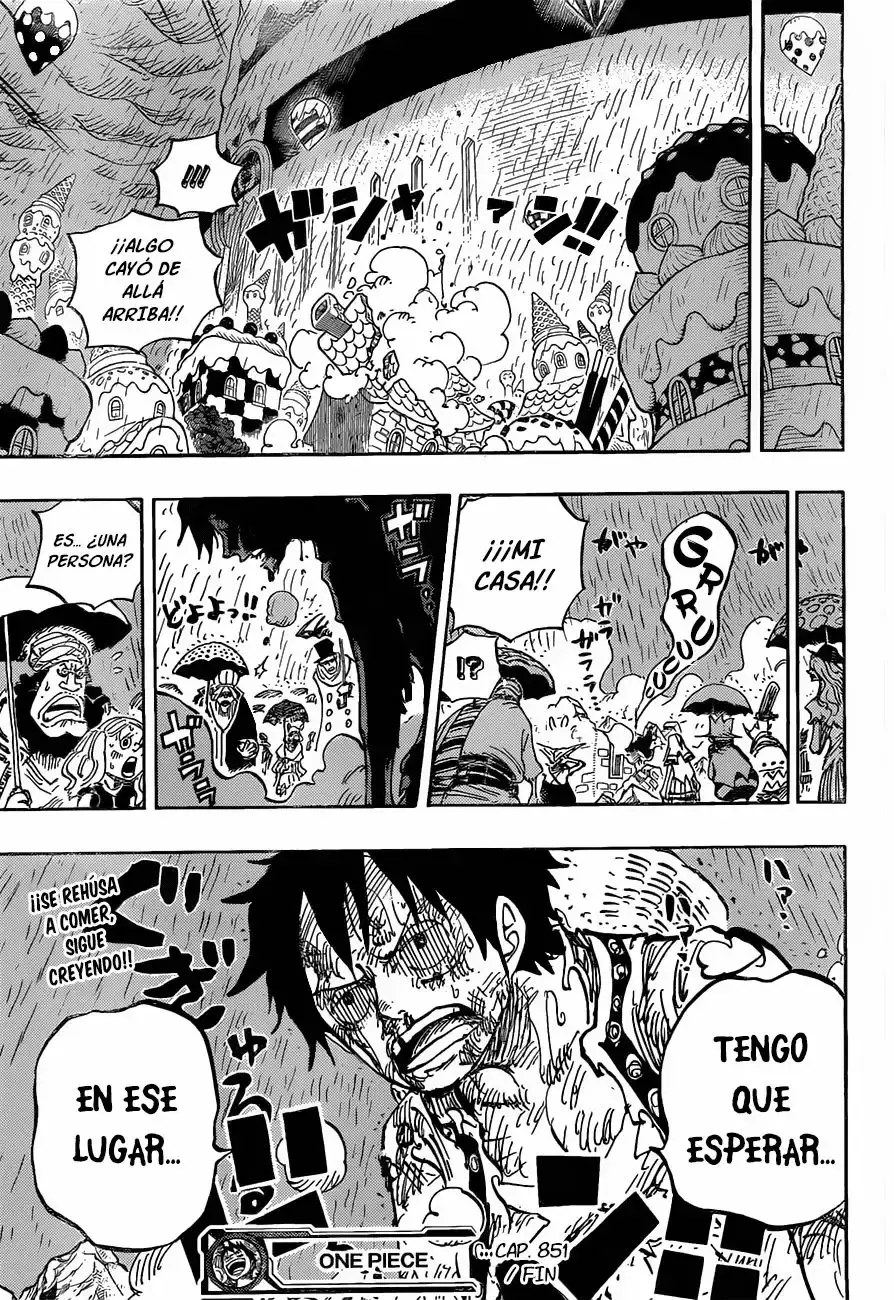 One Piece capítulo 853 página 16