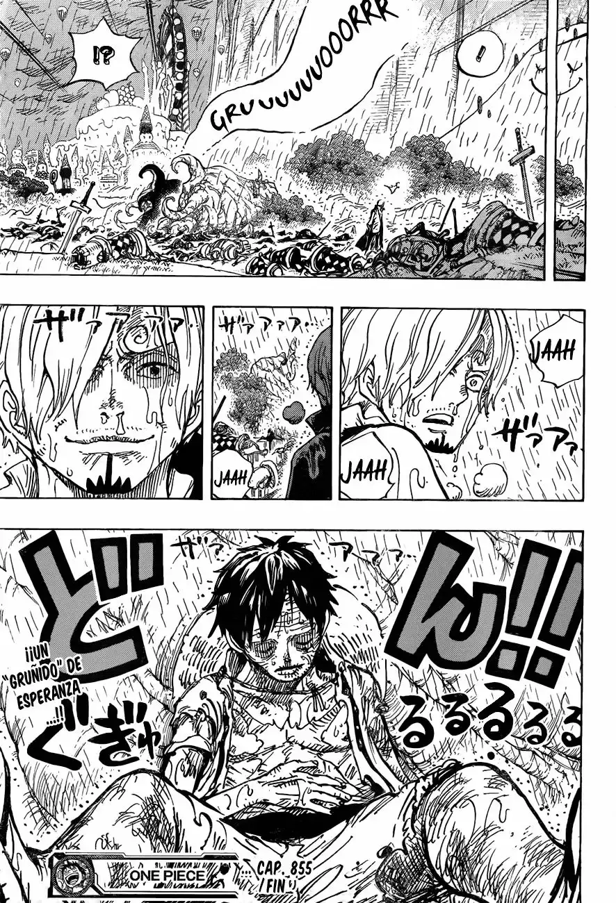 One Piece capítulo 855 página 17