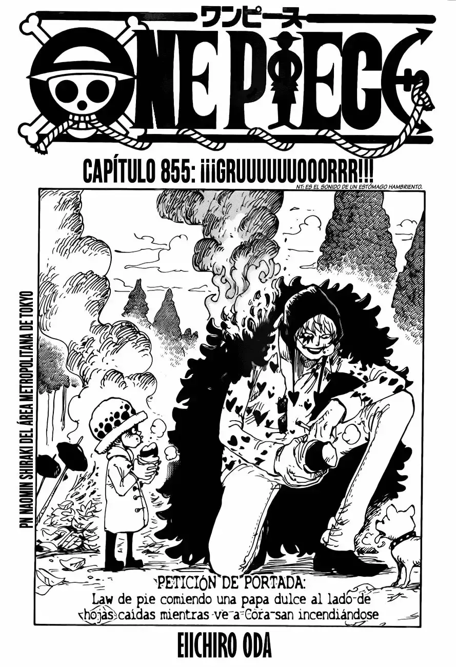 One Piece capítulo 855 página 2