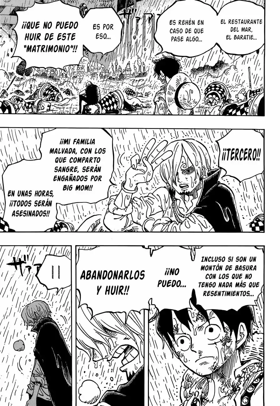 One Piece capítulo 856 página 14