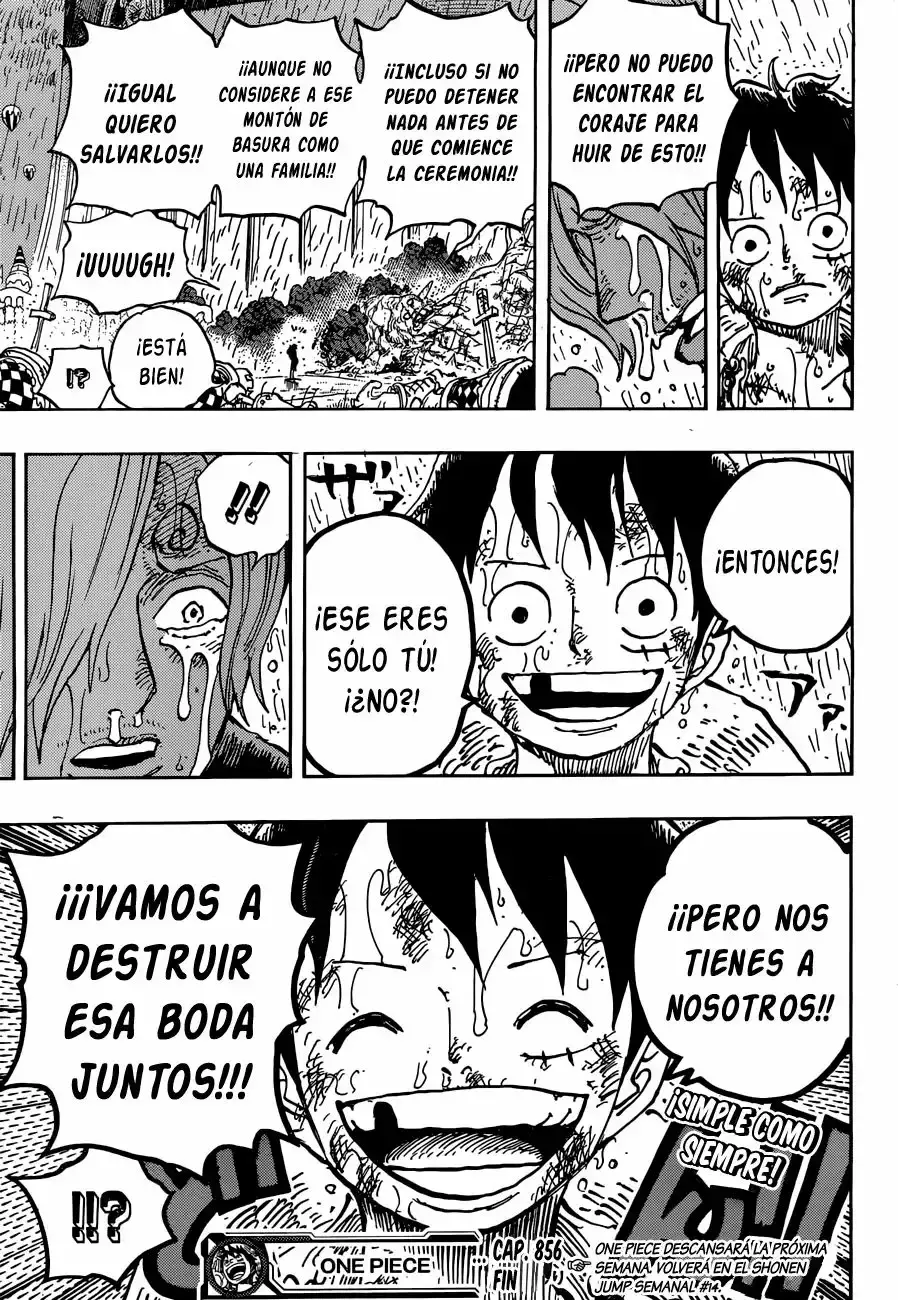 One Piece capítulo 856 página 18